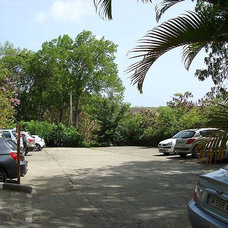 Palm'Studio Anse De Caritan Sainte-Anne Eksteriør bilde