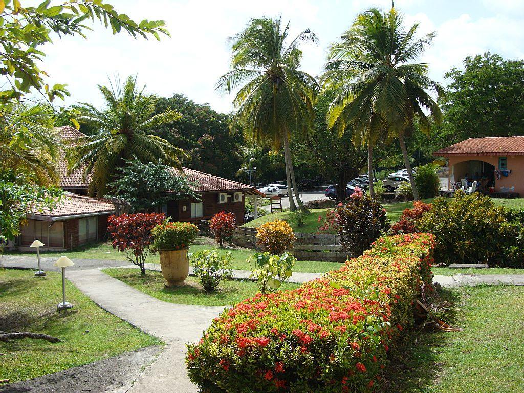 Palm'Studio Anse De Caritan Sainte-Anne Eksteriør bilde