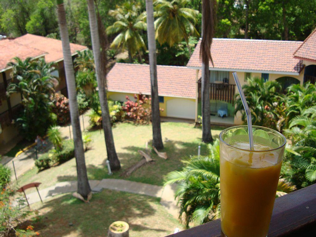 Palm'Studio Anse De Caritan Sainte-Anne Eksteriør bilde